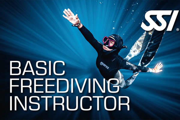 Curso Basic Freediving Instructor SSI Buceo Norte