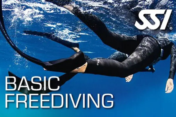 Curso Basic Freediving SSI Buceo Norte