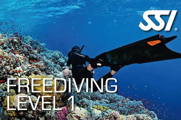 Curso Freediving Level 1 SSI Buceo Norte