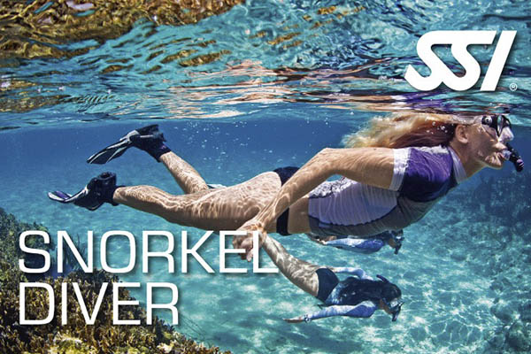 snorkeling in gran canaria