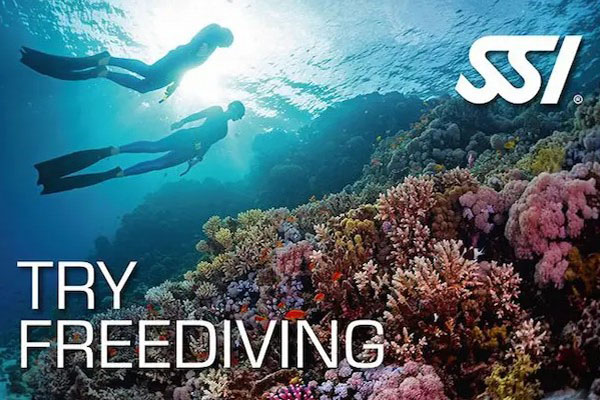 Curso Try Freediving SSI Buceo Norte